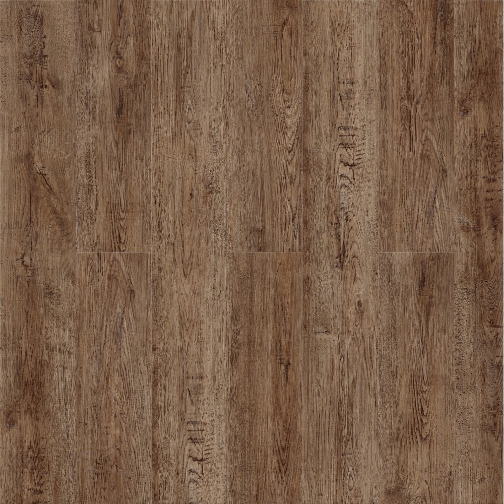 Дуб Зайда SE-709