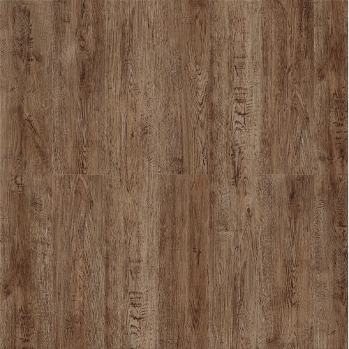 Дуб Зайда SE-709