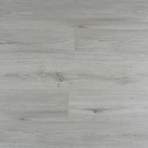 Дуб Апполон SE-716