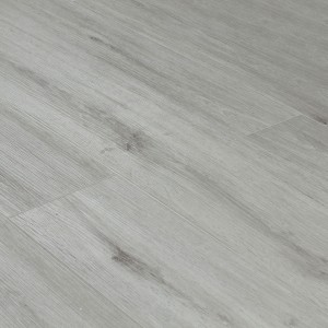 Дуб Апполон SE-716