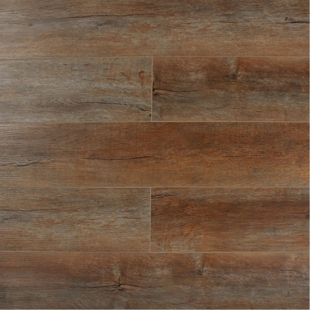 Дуб Базилик SE-719