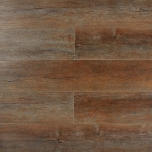 Дуб Базилик SE-719