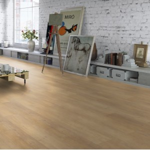 Tarkett Future House Dion