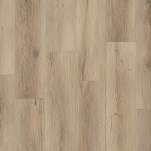 Tarkett Future House Chester