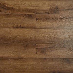 Дуб Байнезия SH1705