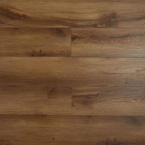 Дуб Байнезия SH1705