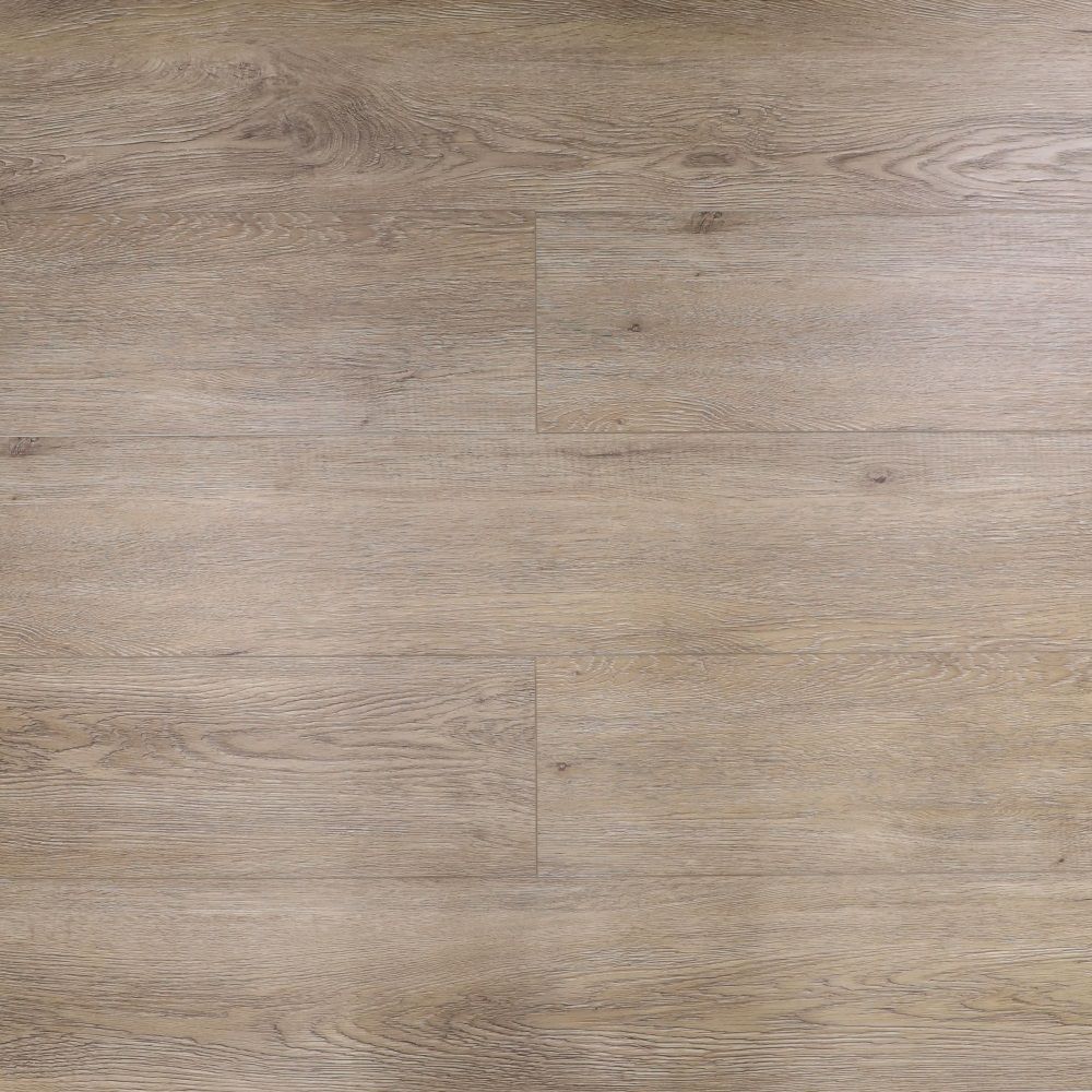 Дуб Бейонн V116