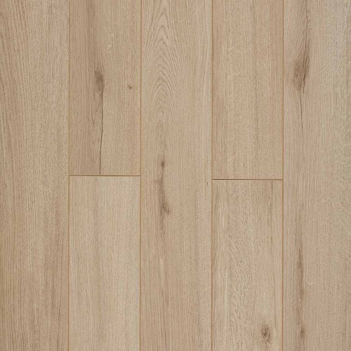 Дуб Альбаро LM25