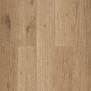 Дуб Салентино LM24