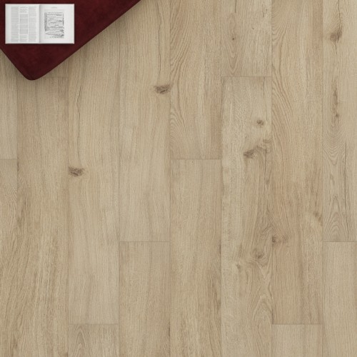 Дуб Альбаро LM25