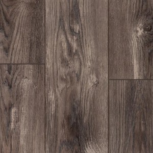 Тис Амальфи LM09