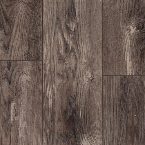 Тис Амальфи LM09