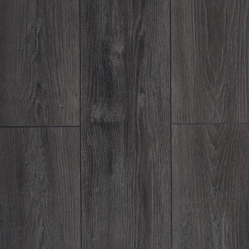 Сосна Мессина LM20