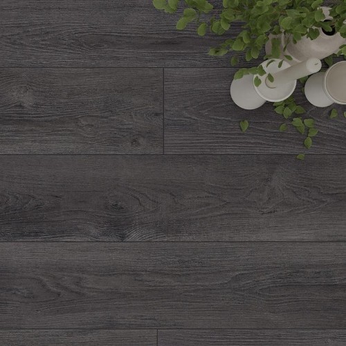 Сосна Мессина LM20