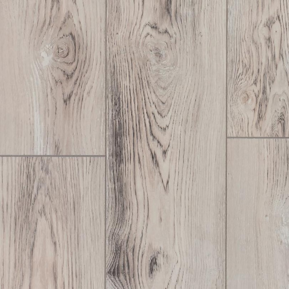 Сосна Сиена LM05