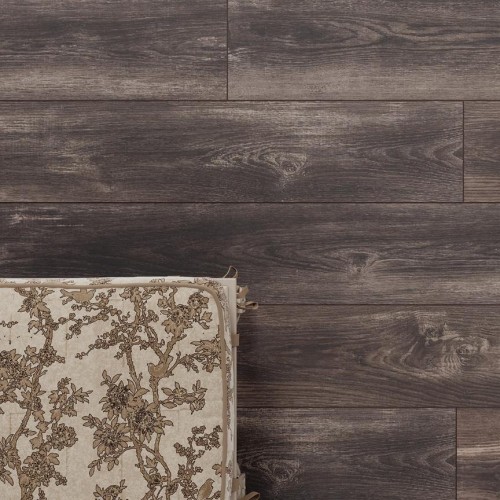 Тис Амальфи LM09