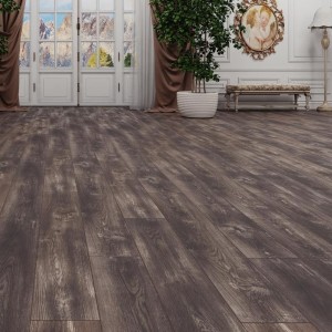 Тис Амальфи LM09