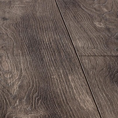 Тис Амальфи LM09