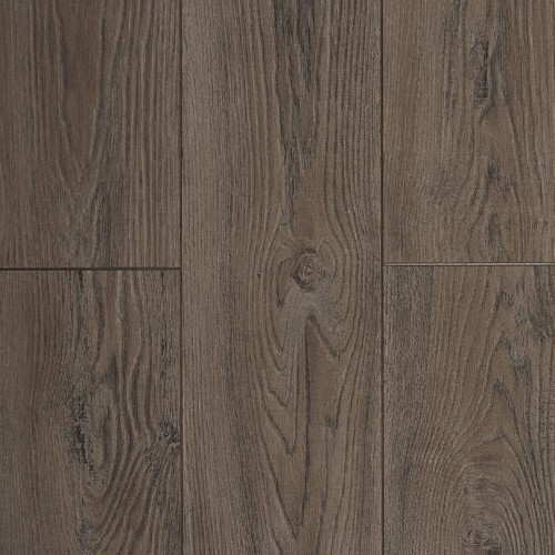 Дуб Тиволи LM19