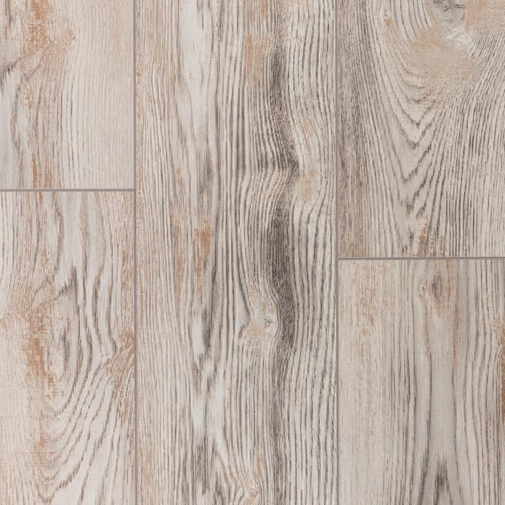 Дуб Чезаре LM03