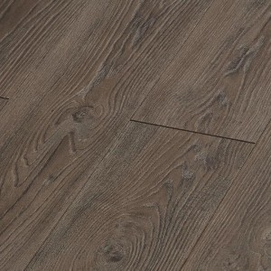 Дуб Тиволи LM19