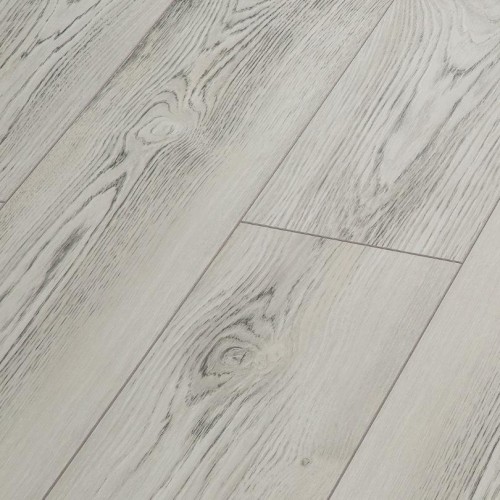 Клен Модена LM02