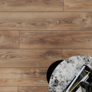 Вишня Контарини LM08