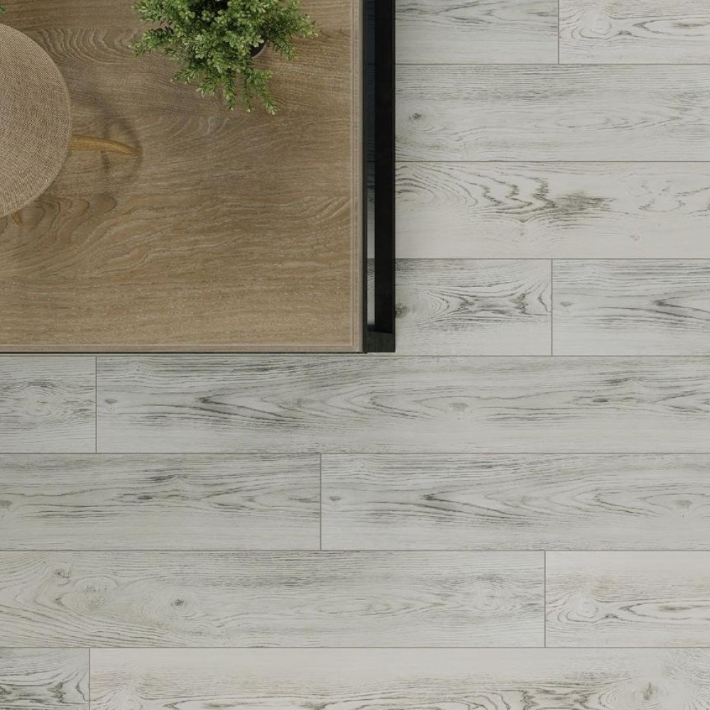 Вяз Росси LM01