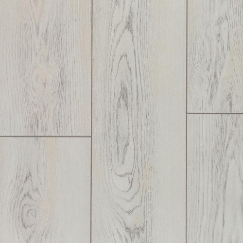 Вяз Росси LM01