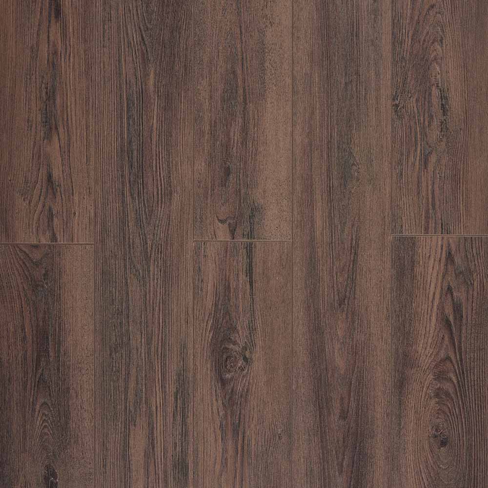 Дуб Бруно LM33