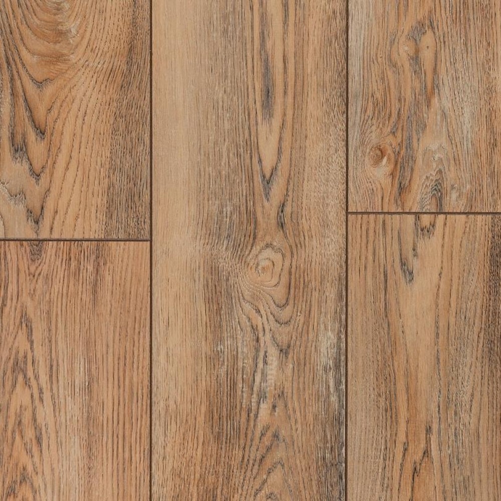 Вишня Контарини LM08