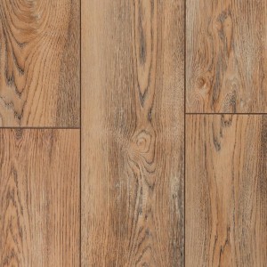 Вишня Контарини LM08