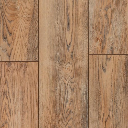 Вишня Контарини LM08