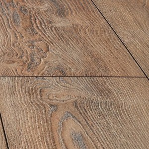 Вишня Контарини LM08