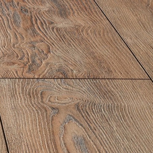 Вишня Контарини LM08