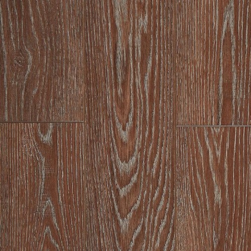 Дуб Кьярра LM17