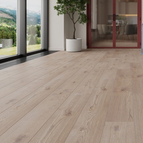 Дуб Бари LM31