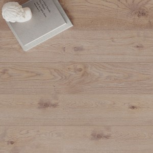 Дуб Бари LM31