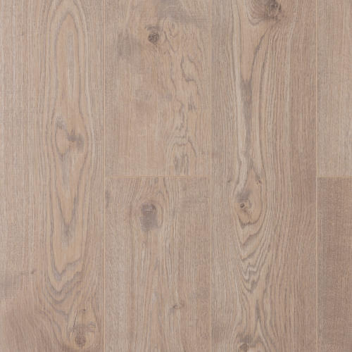 Дуб Бари LM31