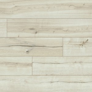 Sedgwick 53004