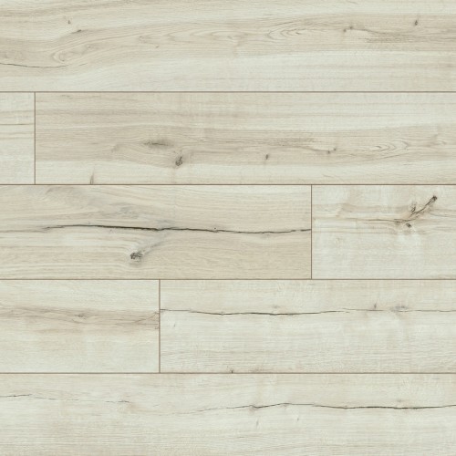 Sedgwick 53004
