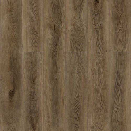 Дуб Федель D50667