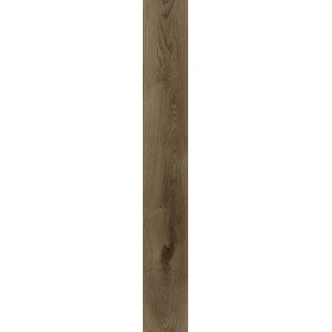 Дуб Федель D50667