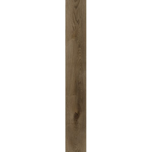 Дуб Федель D50667