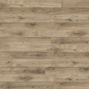 Дуб Леонис D50387