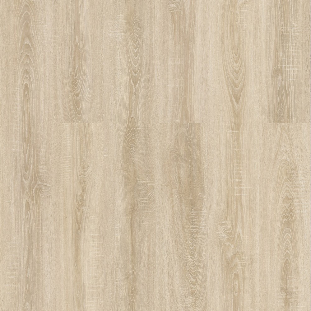 Дуб Литакия D59967