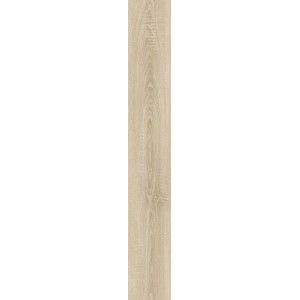 Дуб Литакия D59967