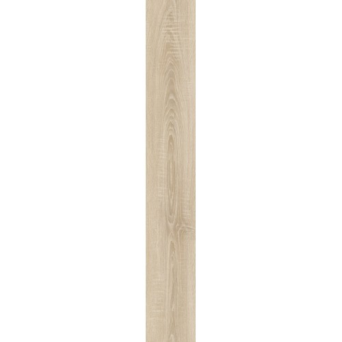 Дуб Литакия D59967