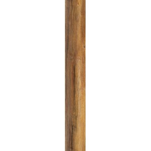 Дуб Огненный D1872