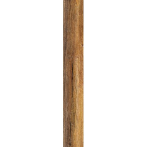 Дуб Огненный D1872